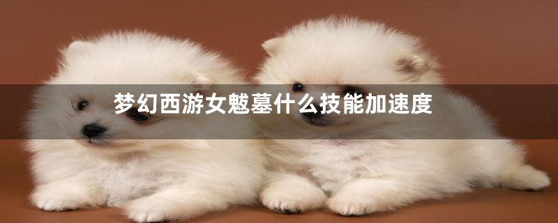 梦幻西游女魃墓什么技能加速度