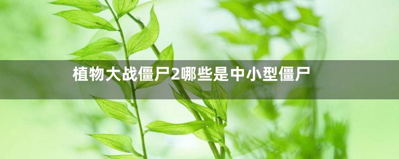 植物大战僵尸2哪些是中小型僵尸