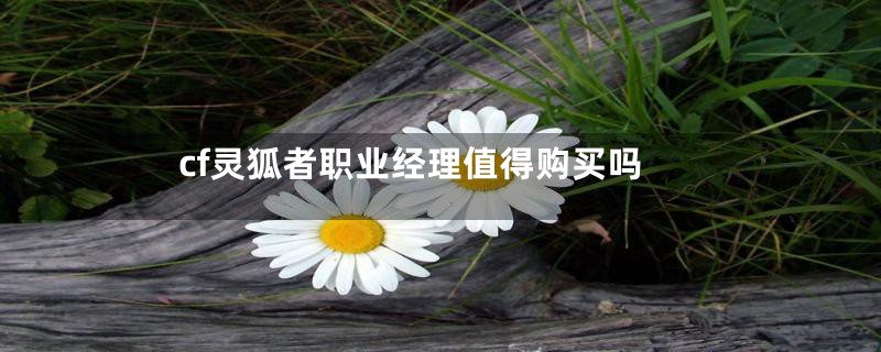 cf灵狐者职业经理值得购买吗
