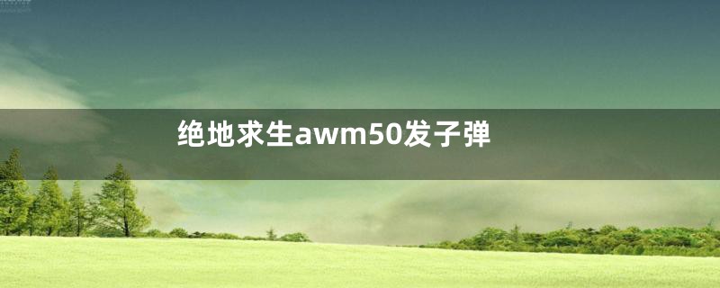 绝地求生awm50发子弹