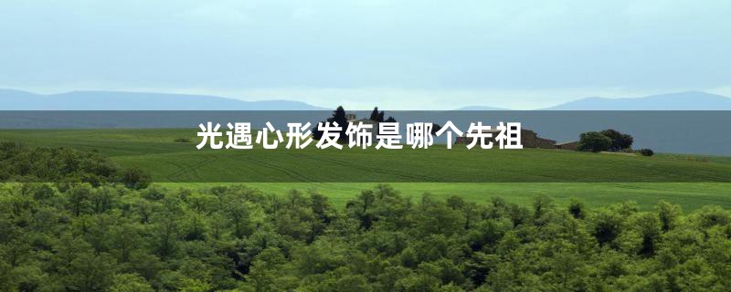 光遇心形发饰是哪个先祖