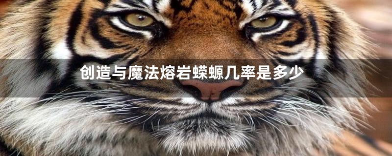 创造与魔法熔岩蝾螈几率是多少