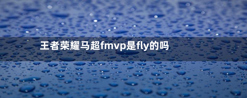 王者荣耀马超fmvp是fly的吗