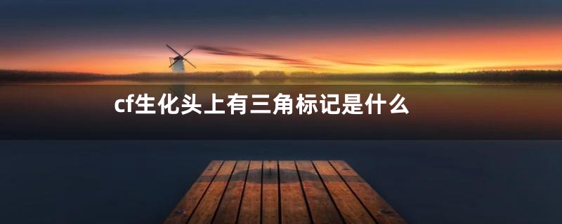 cf生化头上有三角标记是什么