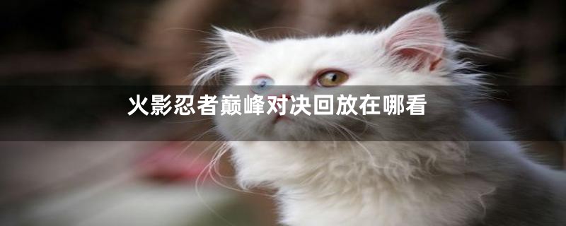 火影忍者巅峰对决回放在哪看