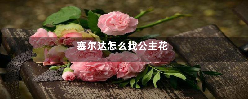 塞尔达怎么找公主花
