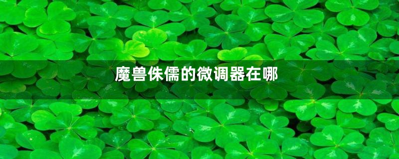 魔兽侏儒的微调器在哪