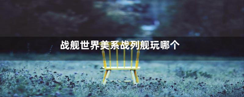 战舰世界美系战列舰玩哪个