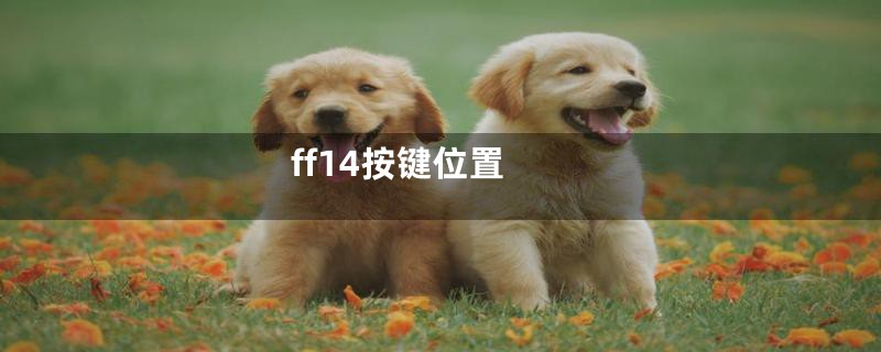 ff14按键位置