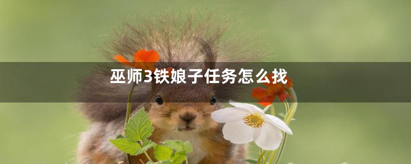 巫师3铁娘子任务怎么找