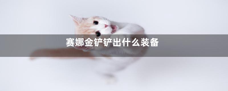 赛娜金铲铲出什么装备