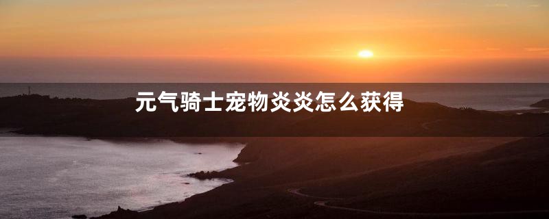元气骑士宠物炎炎怎么获得