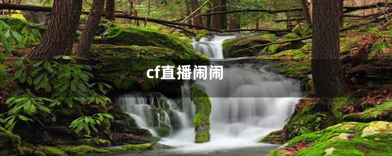 cf直播闹闹