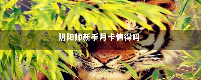 阴阳师新手月卡值得吗