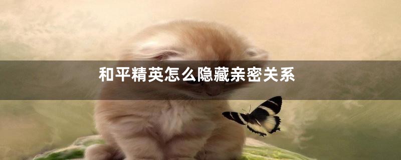和平精英怎么隐藏亲密关系