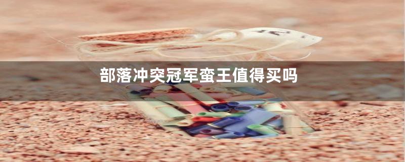 部落冲突冠军蛮王值得买吗
