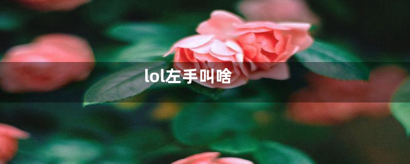 lol左手叫啥
