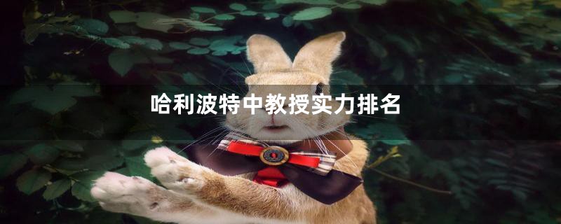 哈利波特中教授实力排名