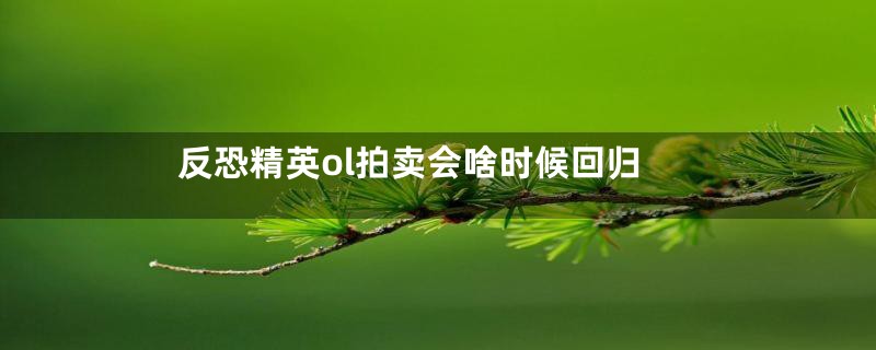 反恐精英ol拍卖会啥时候回归