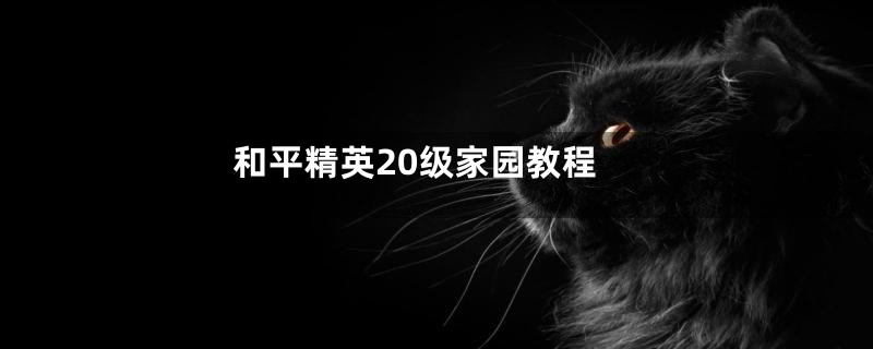 和平精英20级家园教程