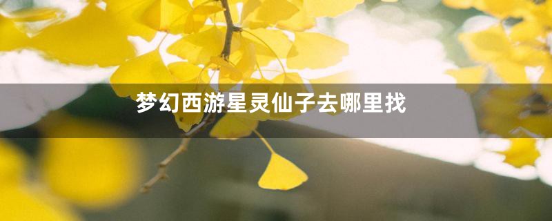 梦幻西游星灵仙子去哪里找