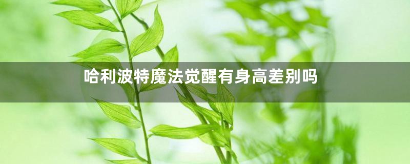 哈利波特魔法觉醒有身高差别吗