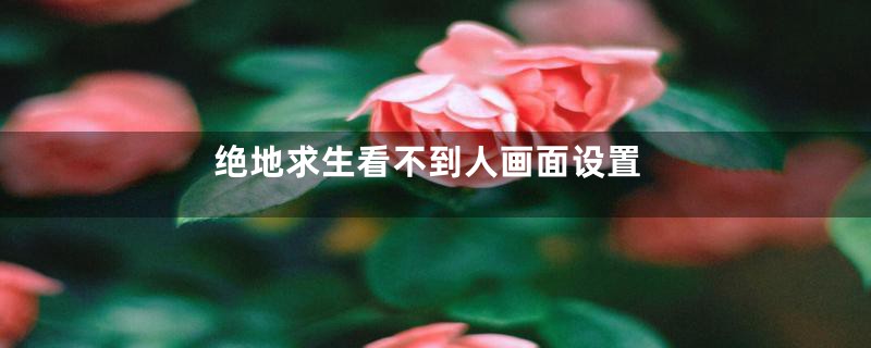 绝地求生看不到人画面设置