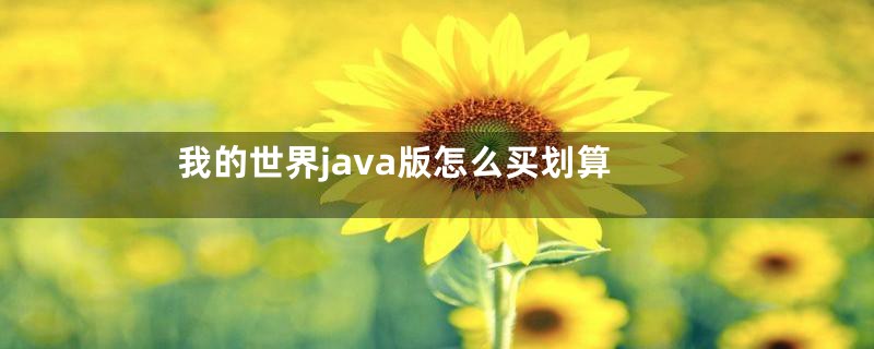 我的世界java版怎么买划算