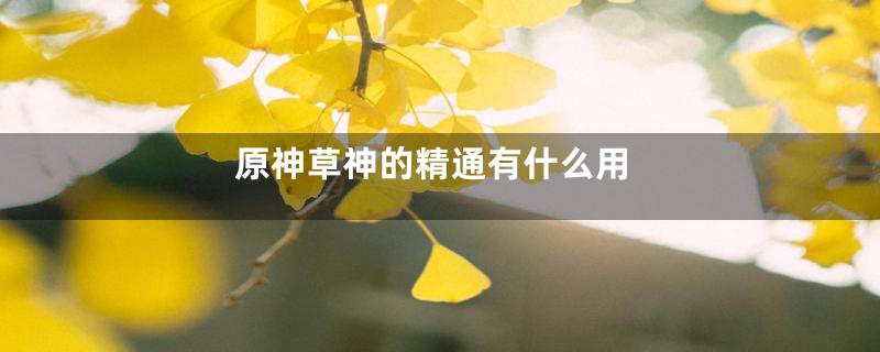 原神草神的精通有什么用