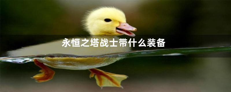 永恒之塔战士带什么装备