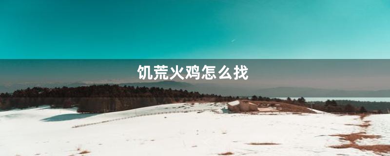 饥荒火鸡怎么找