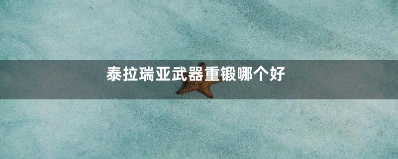 泰拉瑞亚武器重锻哪个好