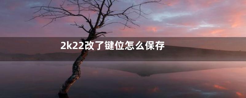 2k22改了键位怎么保存