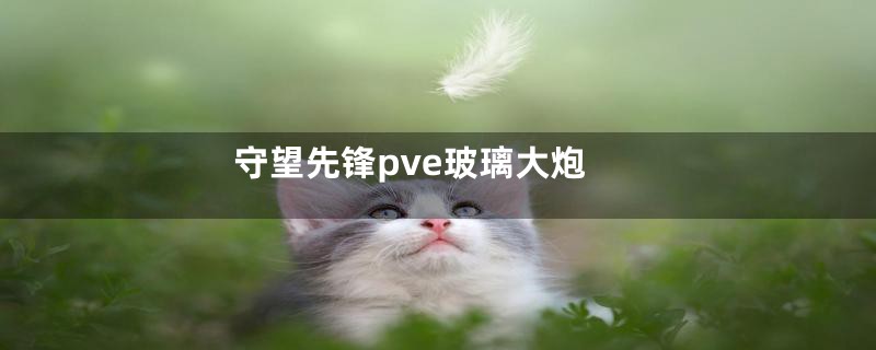 守望先锋pve玻璃大炮