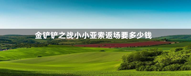 金铲铲之战小小亚索返场要多少钱