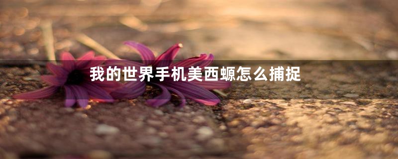 我的世界手机美西螈怎么捕捉