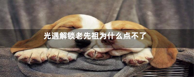 光遇解锁老先祖为什么点不了