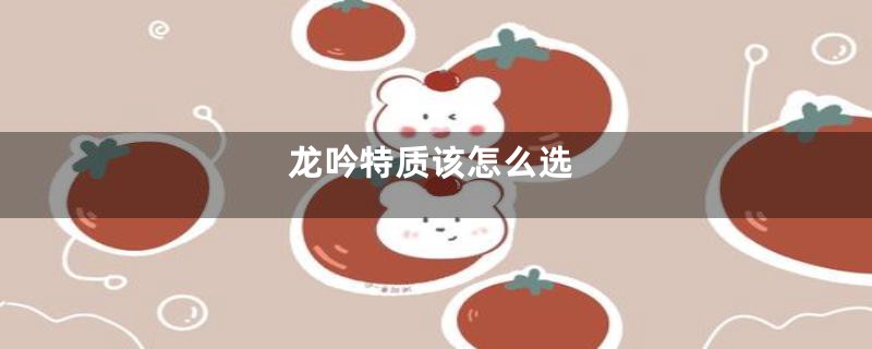 龙吟特质该怎么选