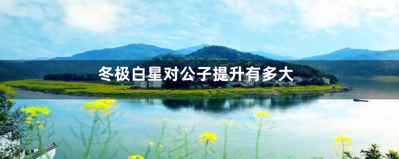 冬极白星对公子提升有多大
