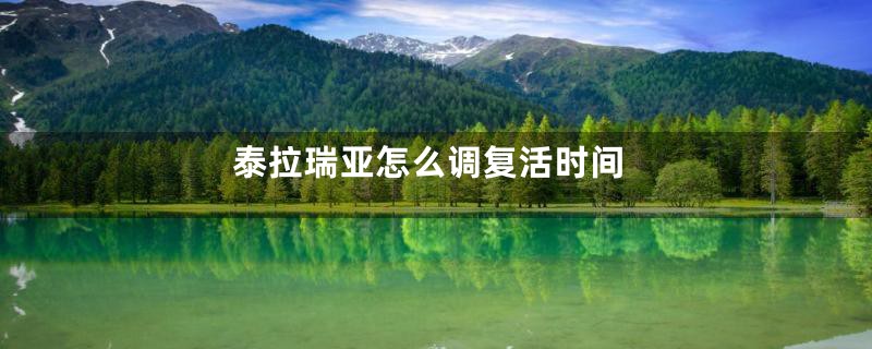泰拉瑞亚怎么调复活时间