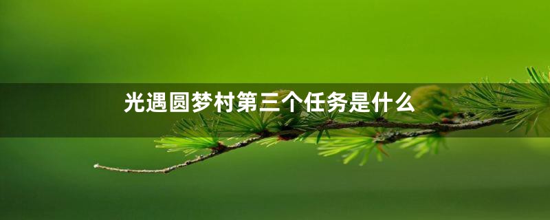 光遇圆梦村第三个任务是什么