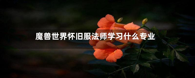 魔兽世界怀旧服法师学习什么专业