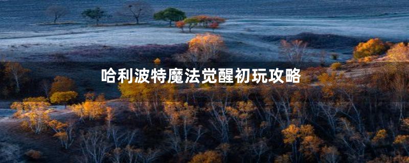 哈利波特魔法觉醒初玩攻略