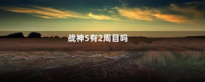 战神5有2周目吗