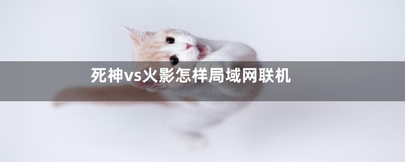 死神vs火影怎样局域网联机