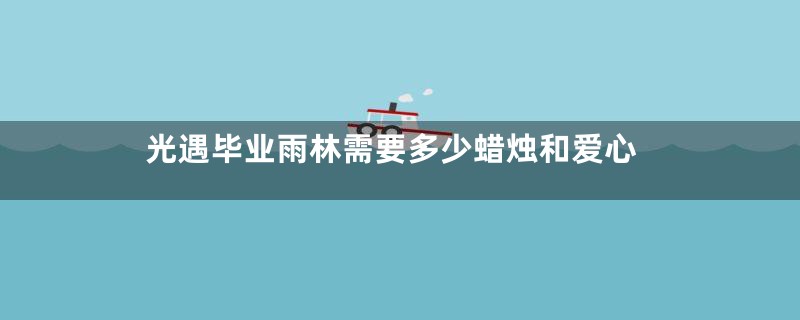 光遇毕业雨林需要多少蜡烛和爱心