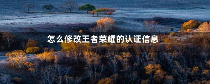 怎么修改王者荣耀的认证信息