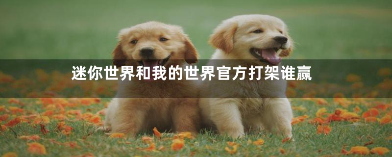 迷你世界和我的世界官方打架谁赢