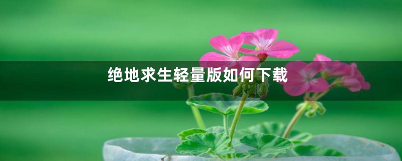 绝地求生轻量版如何下载