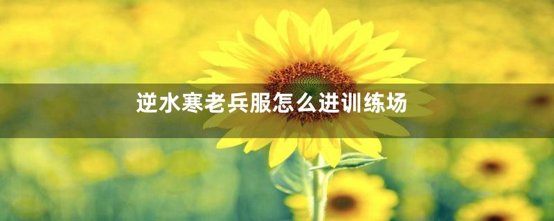 逆水寒老兵服怎么进训练场